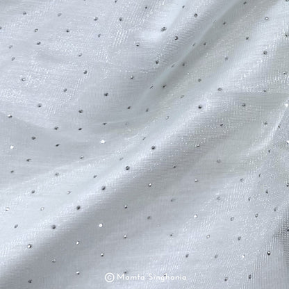 Light Blue Embroidered Net Fabric